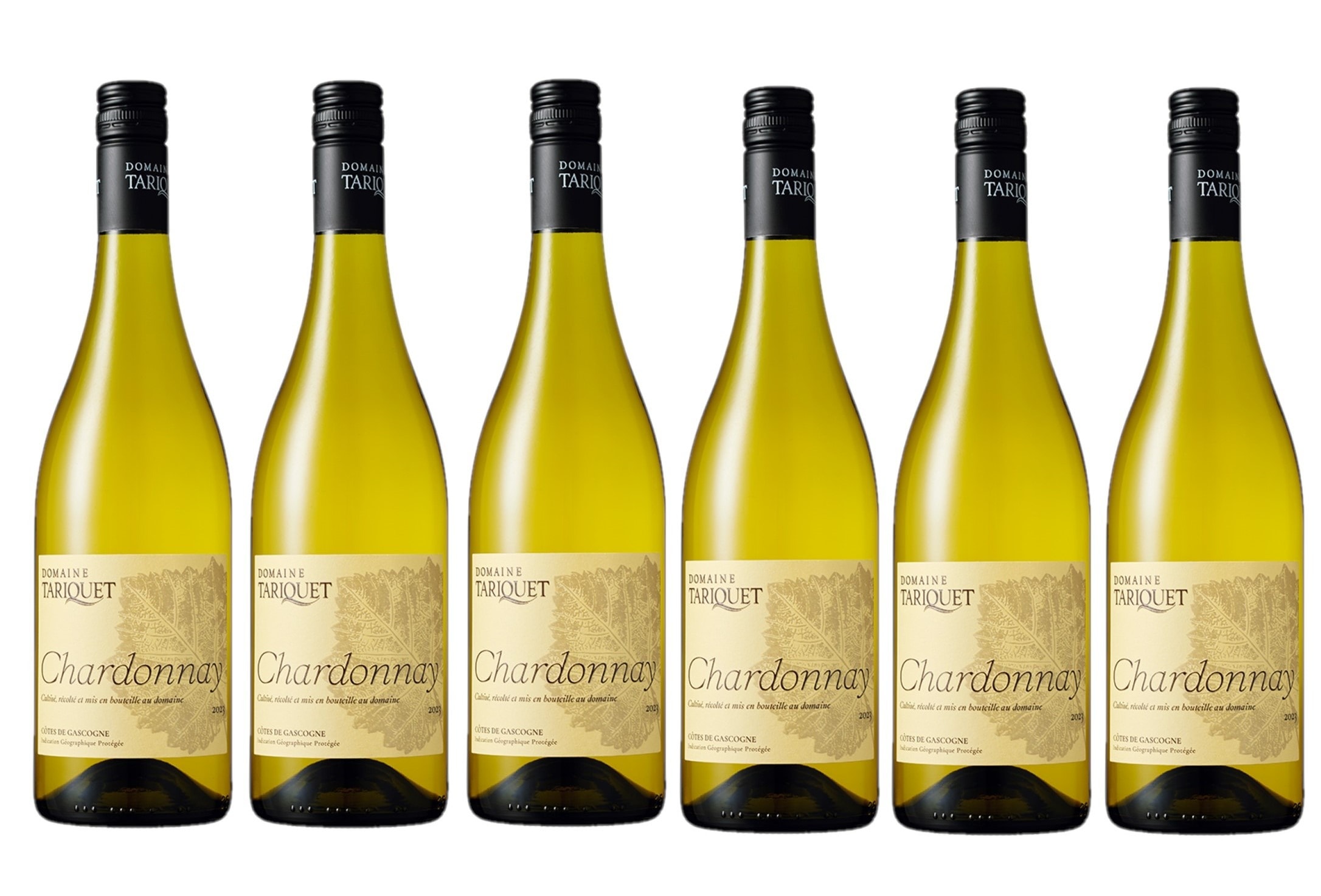 【送料無料】ドメーヌタリケ シャルドネ 750ml6本【北海道東北四国九州沖縄県は必ず送料がかかります】
