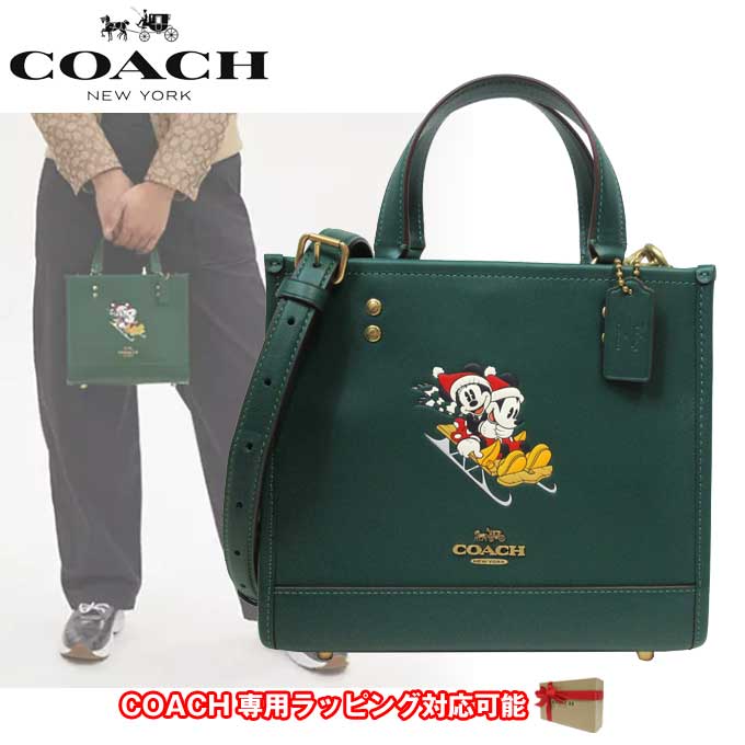 ディズニー コラボ ミッキー ウインター柄 デンプシー CM844 B4UPR【国内即送】