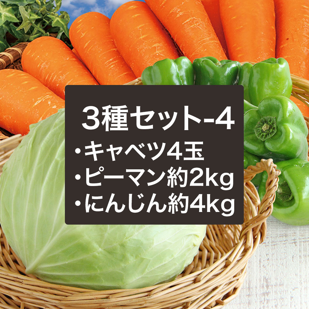【3種セット-4】野菜セットA(キャベツピーマンにんじん)3種セットきゃべつ ぴーまん 人参 定番 万能 おうちごはん おうち時間 ご家庭用 大量 根菜