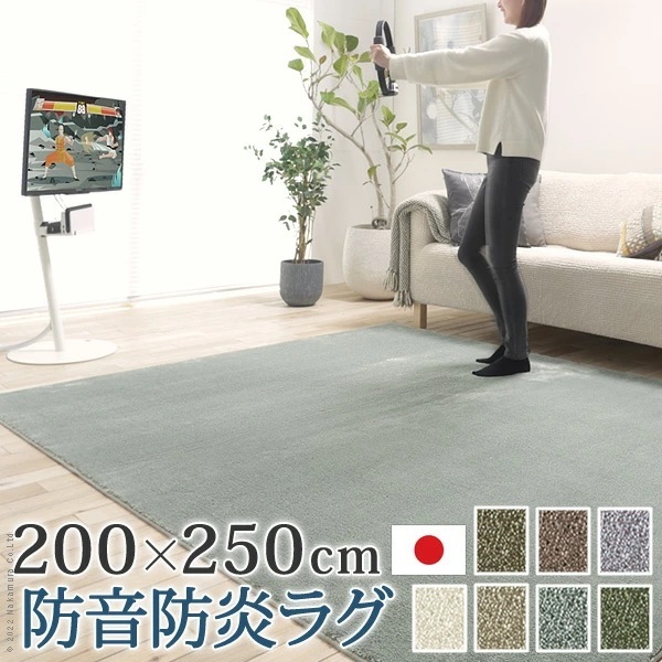ラグ ラグカーペット 長方形 防音防炎ラグ エイヴァ 200x250cm リビング 高級感 北欧 シンプル 無地調 極細 ホットカーペット対応 オールシーズン 防音 防ダニ 防炎 すべり止め 3310