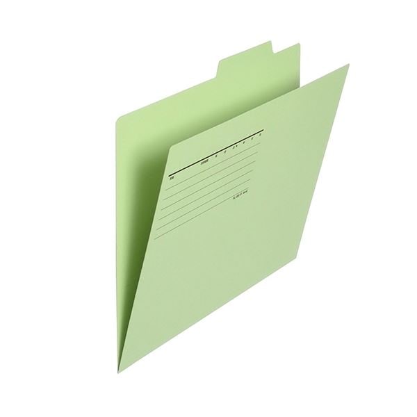 （まとめ）プラス 個別フォルダー エコノミータイプA4 グリーン FL-081IF 1パック(10冊)(×10セット) 11,741円