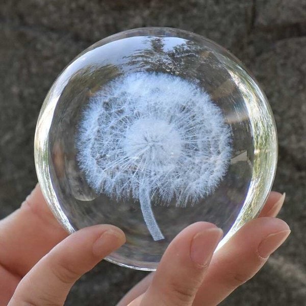 クリスタルボール 3D 植物 たんぽぽ テラリウム 置物 ガラスボール 装飾 インテリア 9,288円