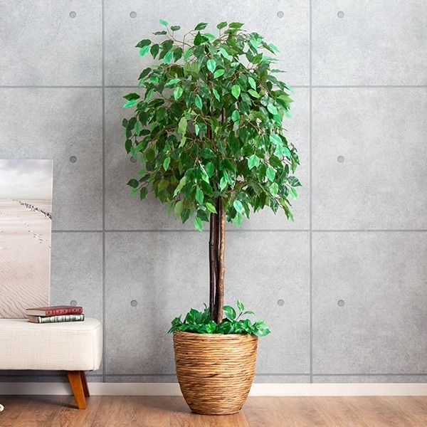 光触媒 人工観葉植物 ベンジャミン フェイクグリーン 大型 インテリアグリーン