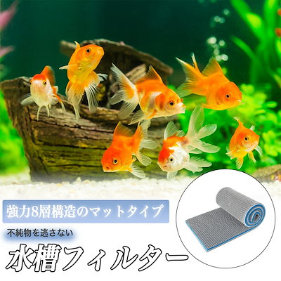 Qoo10] 出血大サービス 水槽 フィルター スポン