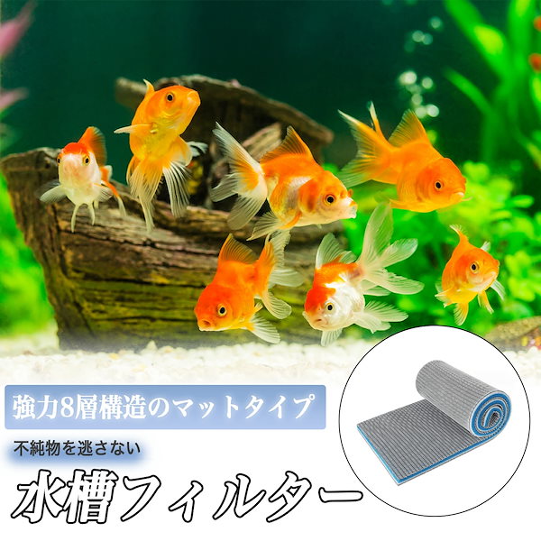Qoo10] 出血大サービス 水槽 フィルター スポン