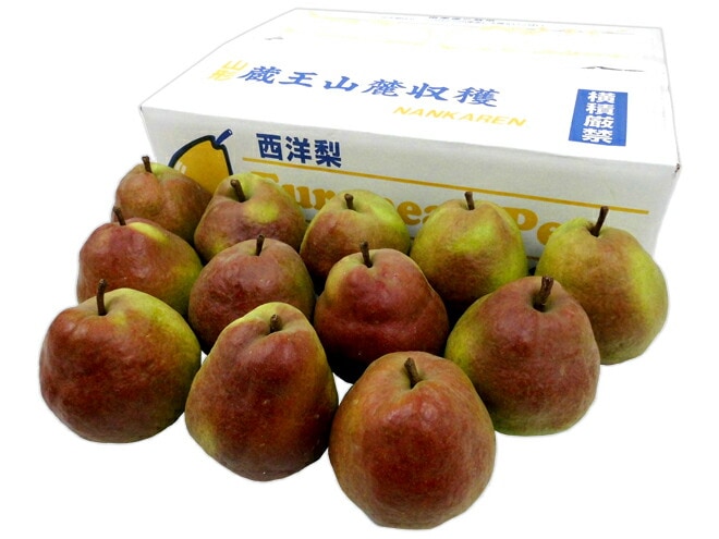 赤い洋梨 =カリフォルニア=秀品 10-16玉前後 約5kg 産地厳選 予約 9月下旬以降