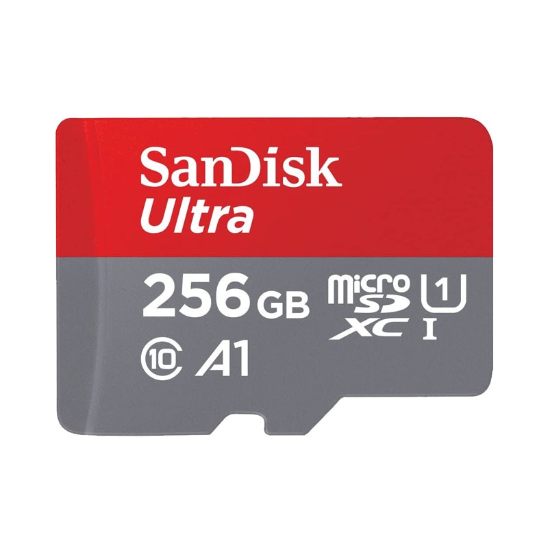 メモリー容量:256GBのSDメモリーカード 比較 2024年人気売れ筋 