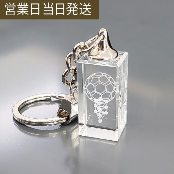 3Ｄカバラバッキーカバラキーホルダー 医学博士 丸山式 丸山アレルギークリニック 院長 丸山修寛 監修 ユニカ 正規品