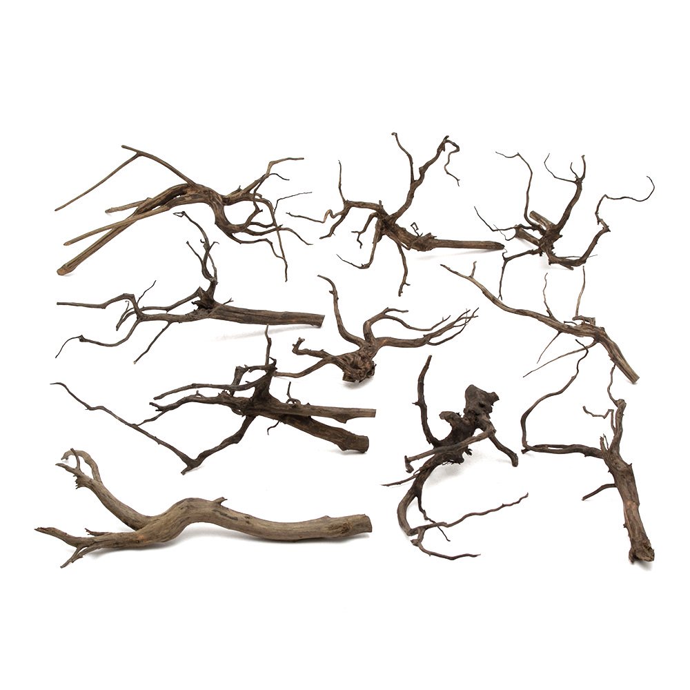 形状お任せ　煮込み済み　スパークウッド　Ｍサイズ（約２０ー３０ｃｍ）　１０本　レイアウト素材　枝状流木　ＣＲＣ21―10―40―20―00