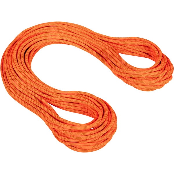 MAMMUT マムート 9.8 Crag Dry Rope 201004280A-11238 ロープ