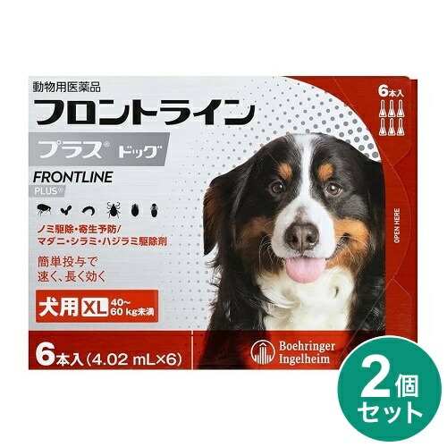 【2個セット】 フロントライン 犬用 XL 40~60kg未満 6本入 ノミ 蚤 ダニ ハジラミ 駆除剤 駆除液 動物用医薬品 ペット用医薬品 中型犬 大型犬 フロントラインプラスドッグ(代引不可)