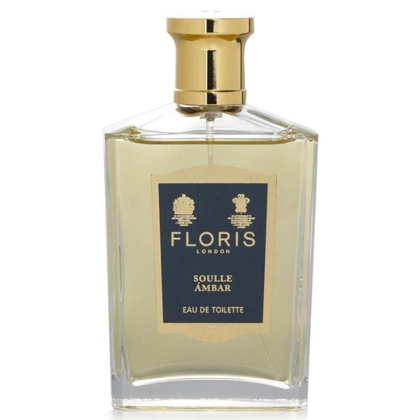 ソルアンバー edt sp 100ml