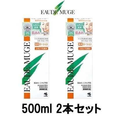 薬用ローション 500ml 2本セット 小林製薬 医薬部外品