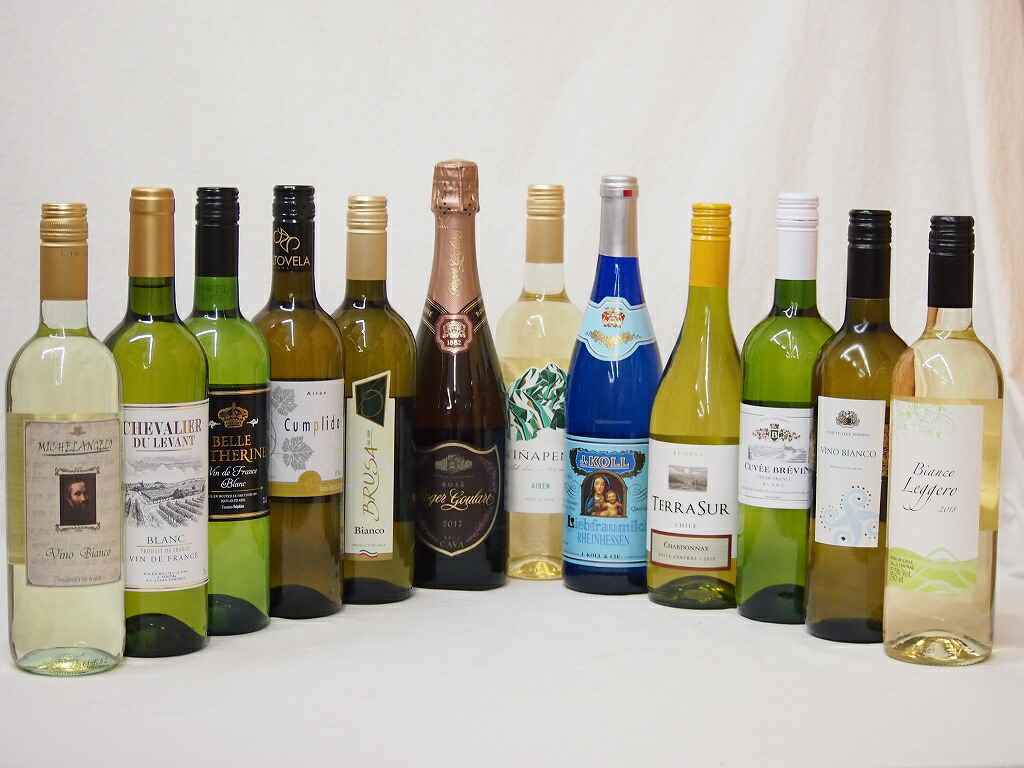 【特選】ドンペリに勝った噂のロジャー グラート +高品質ワイン11本福袋（白11本）豪華セット 75