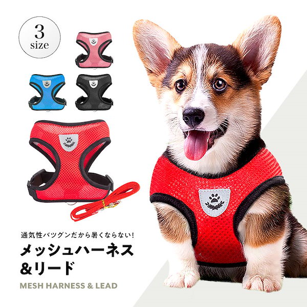 犬 リード 付き 販売 服