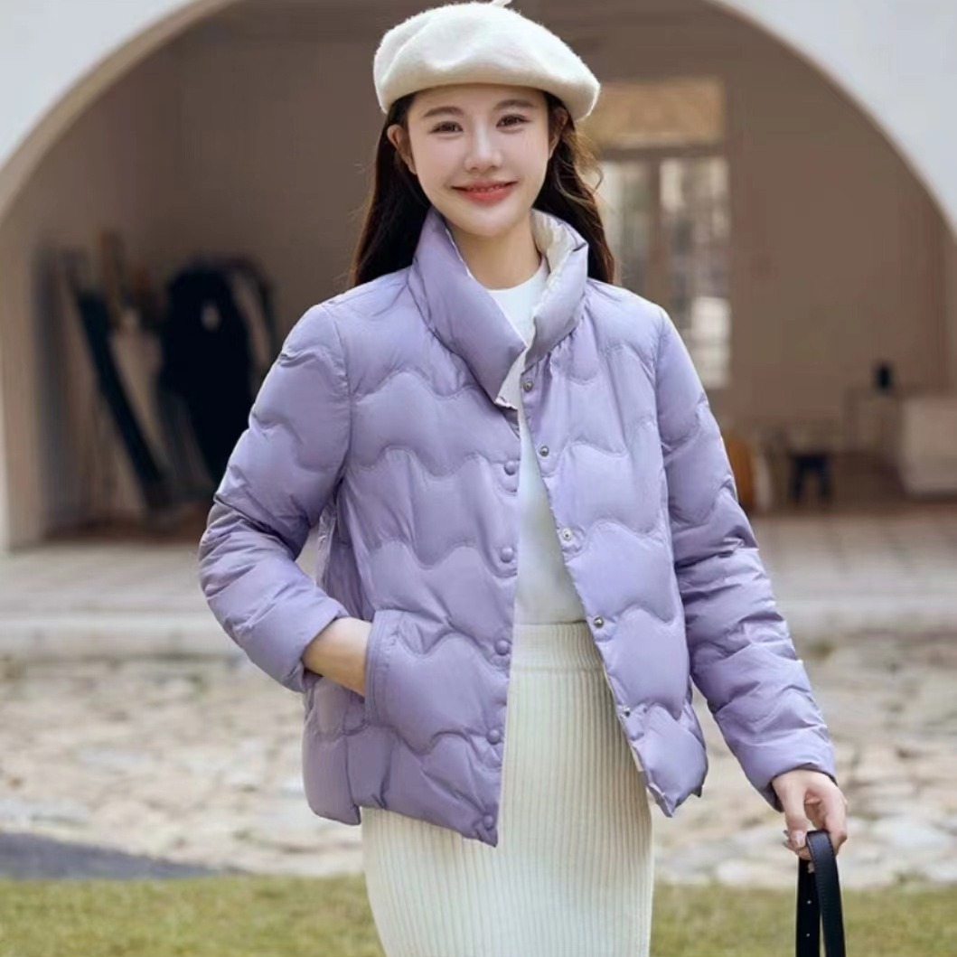 女性用ダウンジャケット 2025 オフシーズン 薄手 ショートスタイル 新スタイル スタンドカラー 小さいサイズ スリム ホワイトダックダウン ファッションジャケット