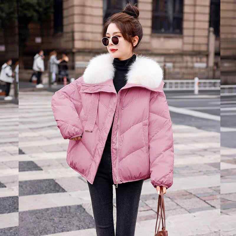 秋服 レディース ファッション オシャレ カワイイ シンプル 大人カワイイ 大きいサイズ 冬 スタイル ダウン コットンコート 韓国ファッション 襟 コート コットン ジャケット