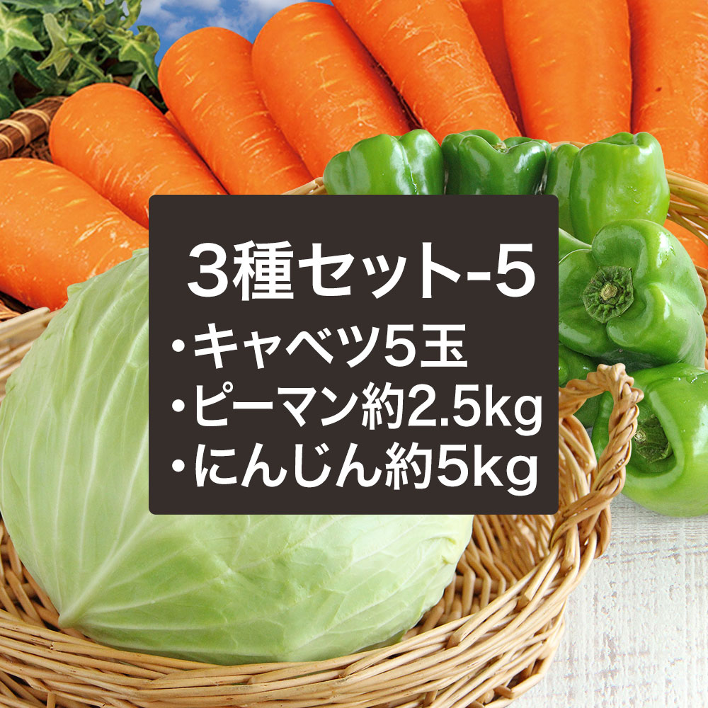 【3種セット-5】野菜セットA（キャベツピーマンにんじん）3種セットきゃべつ ぴーまん 人参 定番 万能 おうちごはん おうち時間 ご家庭用 大量 根菜