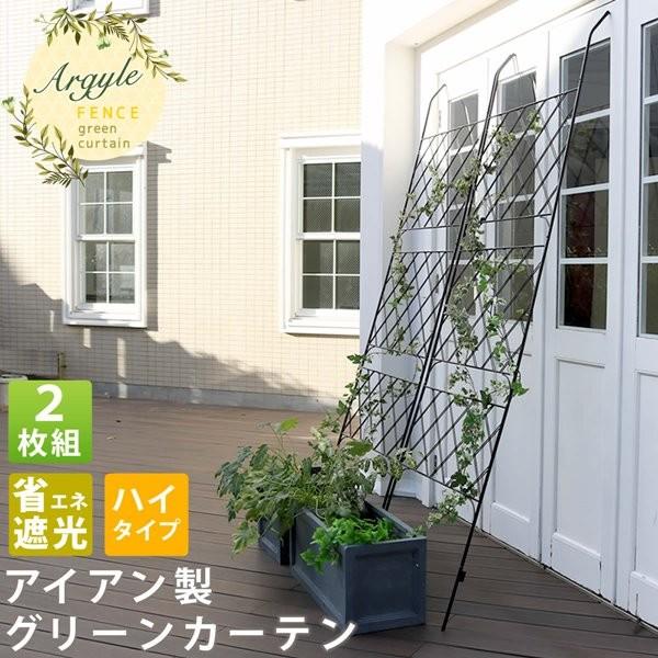 グリーンカーテン アイアン製 グリーンラティス 2枚組 アーガイル フェンス 緑のカーテン