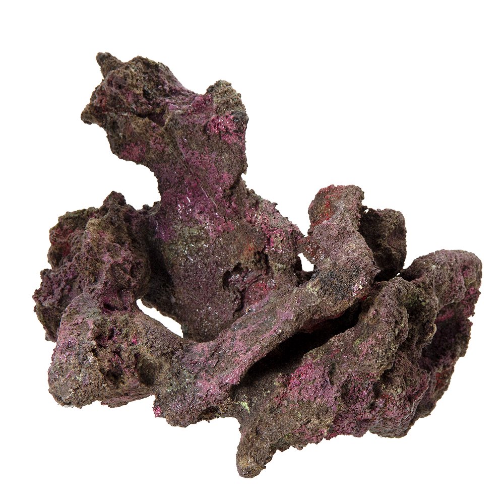 ＯＲＣＡ　ＯＣＥＡＮ　ＲＯＣＫ　３０　２８X２３X２７ｃｍ　ライブロックレプリカ　ＣＲＣ10―35―90―30―00