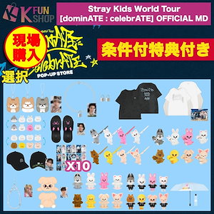 straykids ツアーグッズ