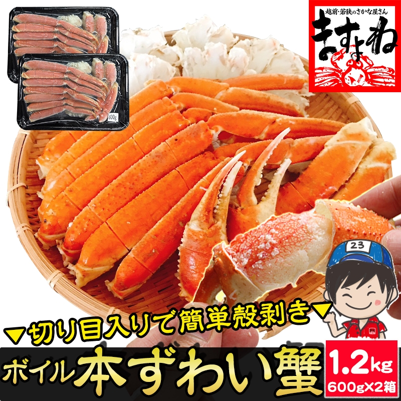旨茹で&殻むき簡単!特殊カット済み 茹で 本ズワイ蟹 1.2kg (600g×2箱) ボイルずわい蟹【ギフトのし対応】