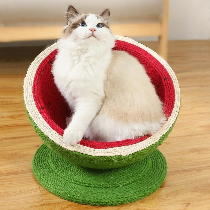 キャットタワー 爪とぎ ストレス発散 爪とぎポール watermelon 猫 ねこ 麻縄 ペット用 おもちゃ おしゃれ オレンジタイプ スイカ 遊園地 運動不足対策 猫用品 四季適用 c-chongw