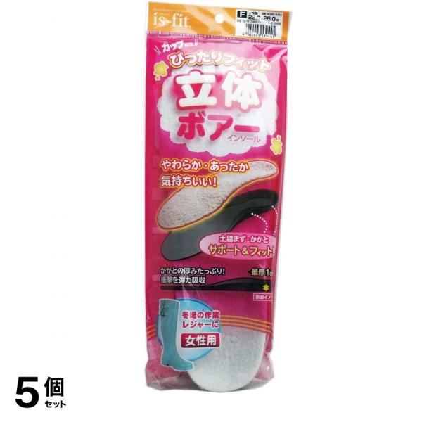 is-fit(イズフィット) 立体ボアー インソール女性用 1個 (イズフィット) 5個セット