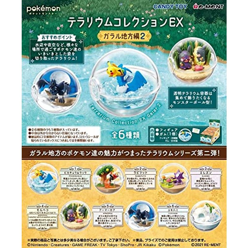 ポケットモンスター テラリウムコレクションEX ガラル地方編2 BOX商品