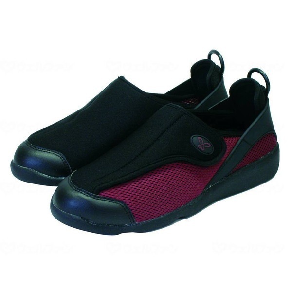 すたこらさんソフト100 ブラックワイン 23.0 メーカー直送