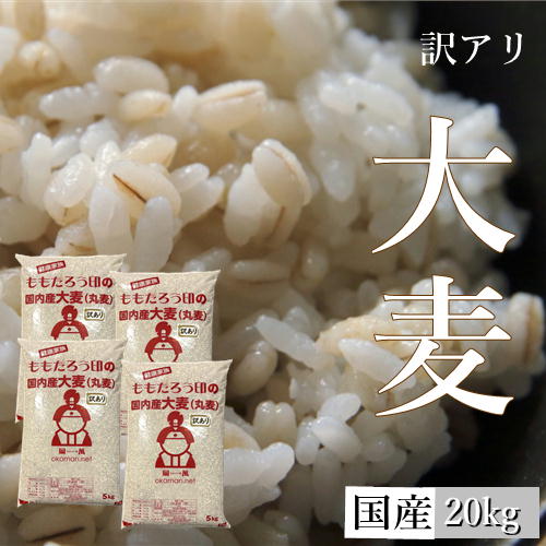 【訳あり】大麦 (丸麦) 国内産 20kg (5kg×4袋)