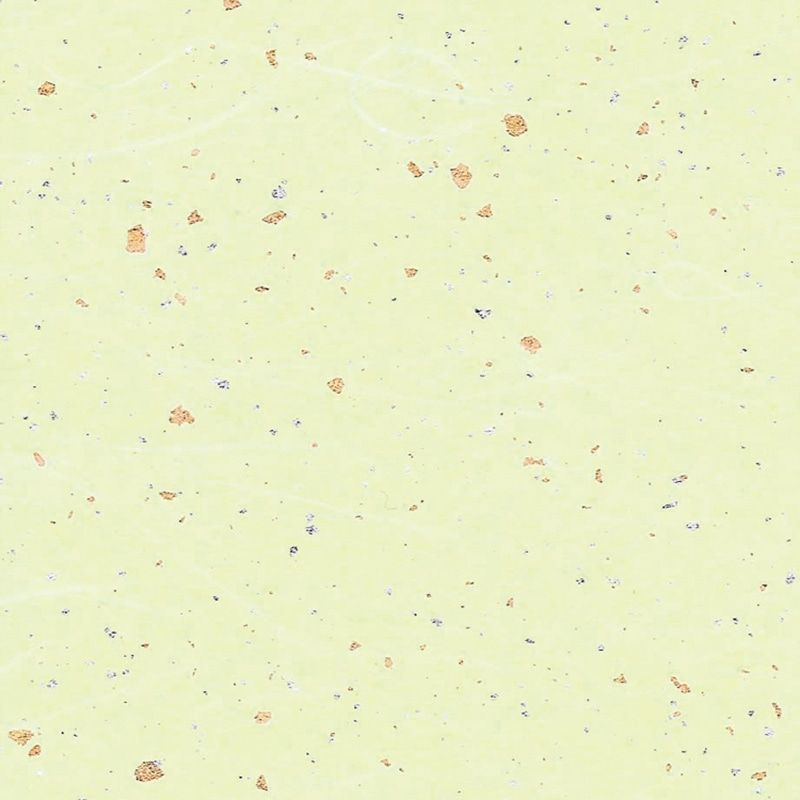 （まとめ買い）シモジマ HEIKO 包装紙 和紙 雲龍紙金銀振 草 50枚 545x788mm ラッピング用品 002107603 [x3セット]