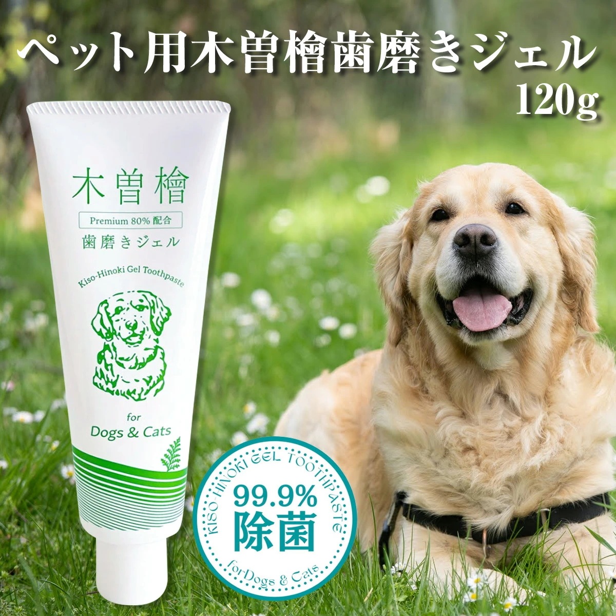 ペット用 木曽檜歯磨きジェル 120g 無添加 100% 天然由来成分 ペット用歯磨きジェル プラスケア 木曽檜 犬 猫 はみがき 除菌 抗菌 歯周病 口臭 研磨剤発泡剤防腐料合成香料人工着色料