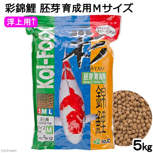 鯉の餌　彩錦鯉　胚芽育成用　Ｍサイズ　５ｋｇ　餌　飼料　ＣＲＣ10―41―70―10―00