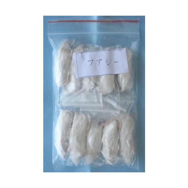 冷凍ファジーマウス (約5.5cm) 1,000匹入り【クール便発送】 両生類 猛禽類 爬虫類 肉食 肉 ヘビ トカゲ マウス ネズミ ラット 鼠 ねずみ エサ 餌 フード
