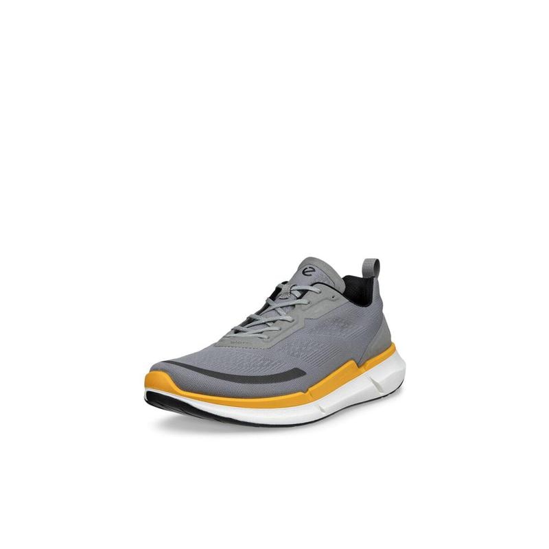 BIOM 2.2 M バイオーム 2.2 M 830754-56342