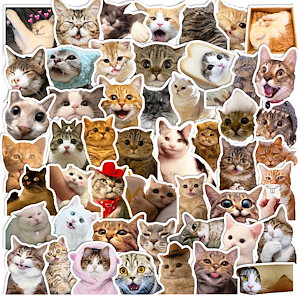 猫ステッカー50枚 かわいい かわいい猫 かわいい猫表情パック 落書きステッカー