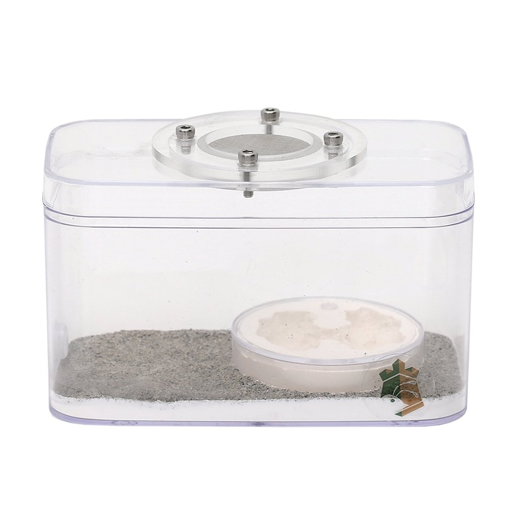 リトルカーペンターズ　アリ飼育用　レイアウト済み餌場　ダブルルーム　蟻　飼育容器　ＣＲＣ18―35―97―00―00