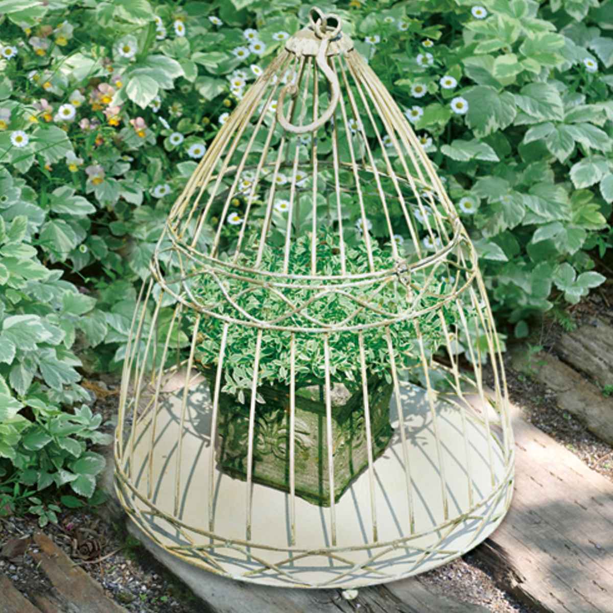 バードゲージ プラントホルダー プランタースタンド フラワーケージ 花台 飾り アイアン フラワー 室内 屋外 鳥かご ケージ 置く 吊るす 吊り下げ 植物 観葉植物 花 フラワーアレンジ