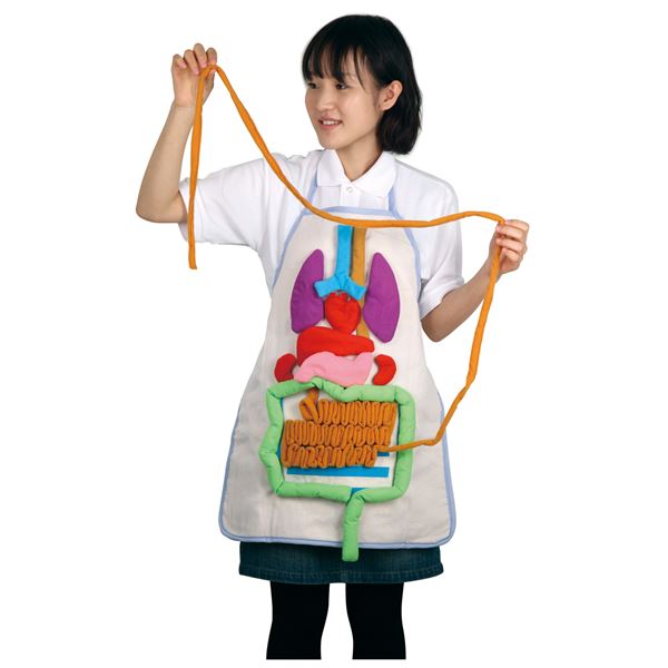 (まとめ)アーテック 内臓の大きさ説明エプロン (×5セット)