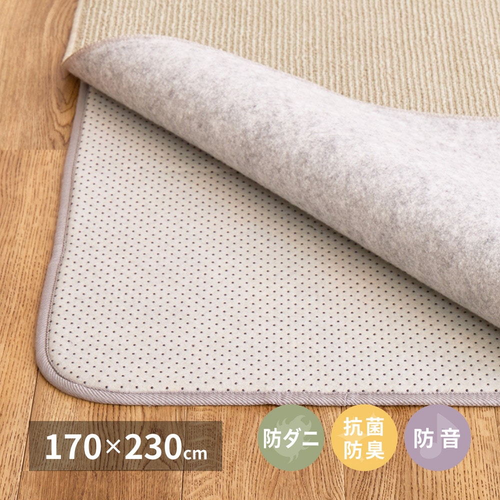 両面すべり止め付き ふっくらアンダーラグ [ts121313] 抗菌機能付き 170x230cm ホワイト