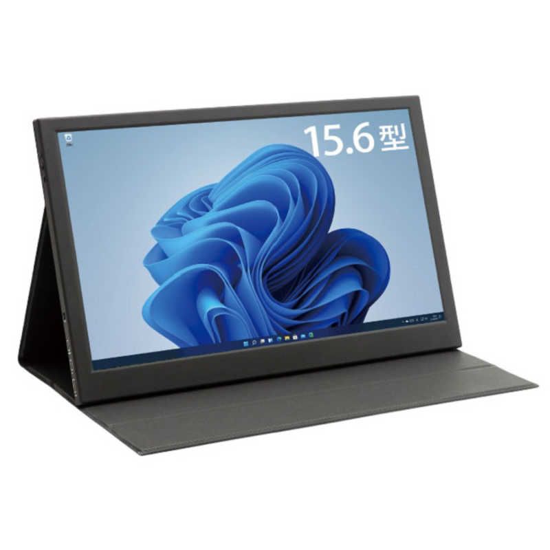 ITPROTECH　PCモニター [15.6型 /フルHD(1920×1080) /ワイド]　LCD15HCR-IPS