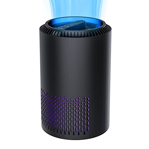 SANVINDER 空気清浄機 小型 花粉 除菌 消臭 おやすみモード 持ち運びやすい 静音 タイマ