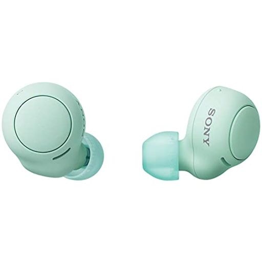 完全ワイヤレスイヤホン WF-C500 : /軽量小型5.4g/高精度通話品質/簡単ペアリング/IPX4防滴性能/アイスグリーン WF-C500 GZ