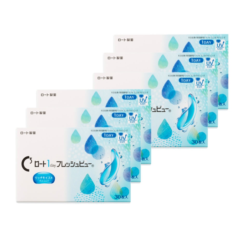 (30枚)【6箱】 ロート1dayフレッシュビューリッチモイスト Rohto正規販売店