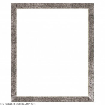 大額　デッサン額　5698　大全紙　銀柄紋