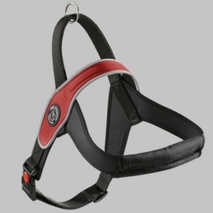 （ペット） TRE PONTI プリモ リフレクティブ レッド M LTP200