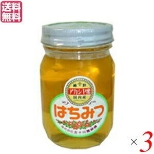 はちみつ 蜂蜜 国産 五十川養蜂園 国産はちみつ アカシア 500g 3個セット