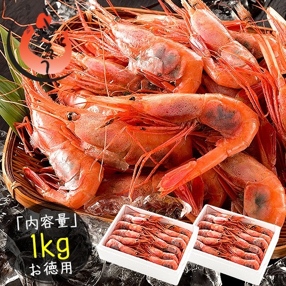 甘エビ 甘えび 子持ち 特大サイズ 1kg（500g2箱） 約60尾入り 刺身用 越前産