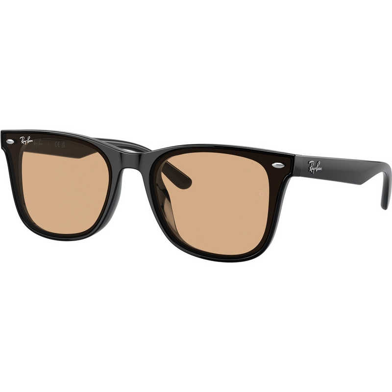 レイバン　RayBan サングラス WASHED LENSES Low Bridge Fit 65mm ブラック/ブラウン　0RB4391D 601/93(65)